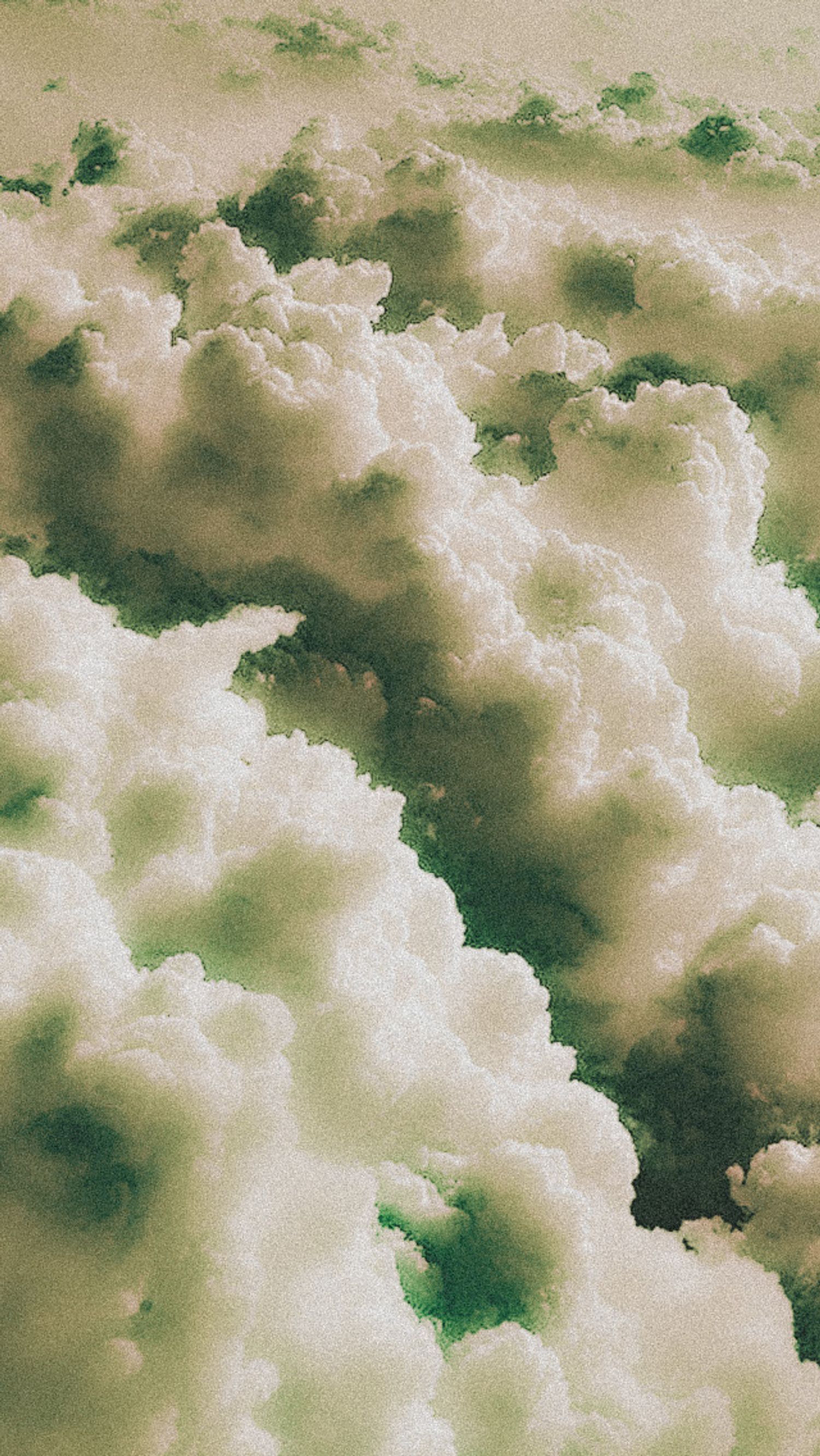 https://cdn.store-assets.com/s/758984/f/12495581.jpeg