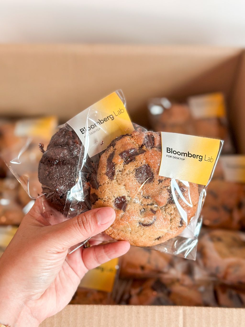 image_6EE0CBEE-A8B2-46C5-A7BC-D3FC8F5B8805_1754880635