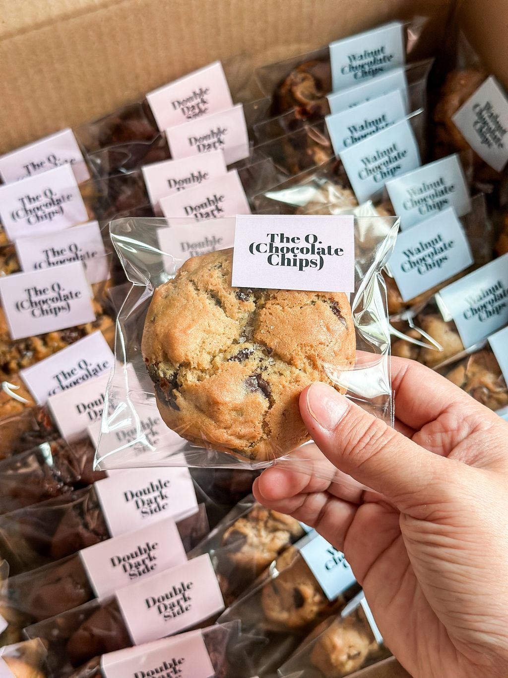 image_419B920C-7720-4484-AC03-C0188F202CFF_1754880636