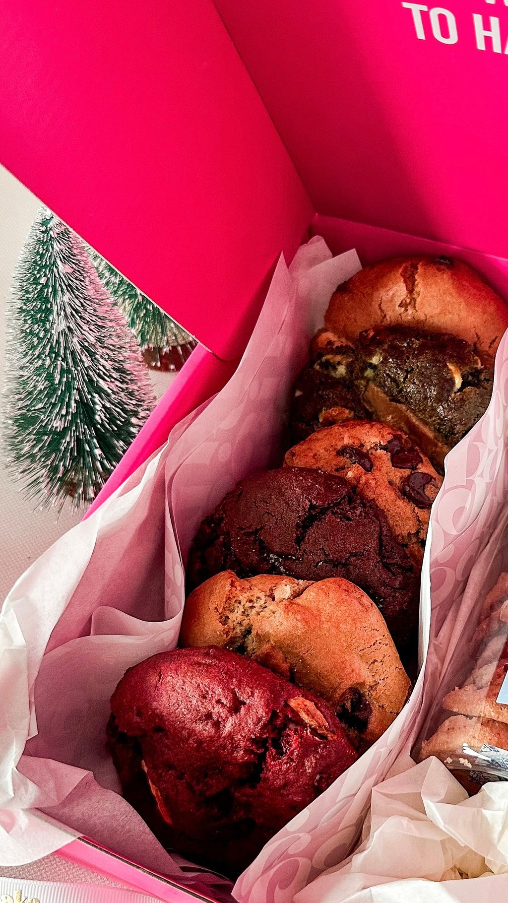 image_0B252559-5B8F-435A-90AC-D5A296C59A88_1764751094