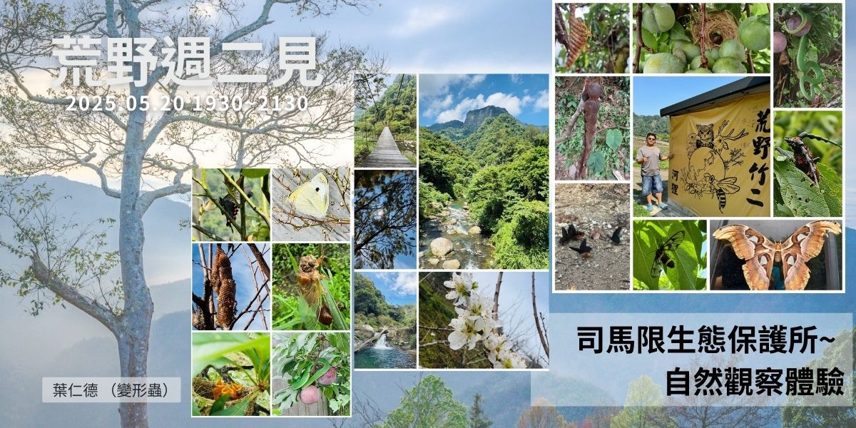 【荒野新竹週二見】5/20 司馬限生態保護所