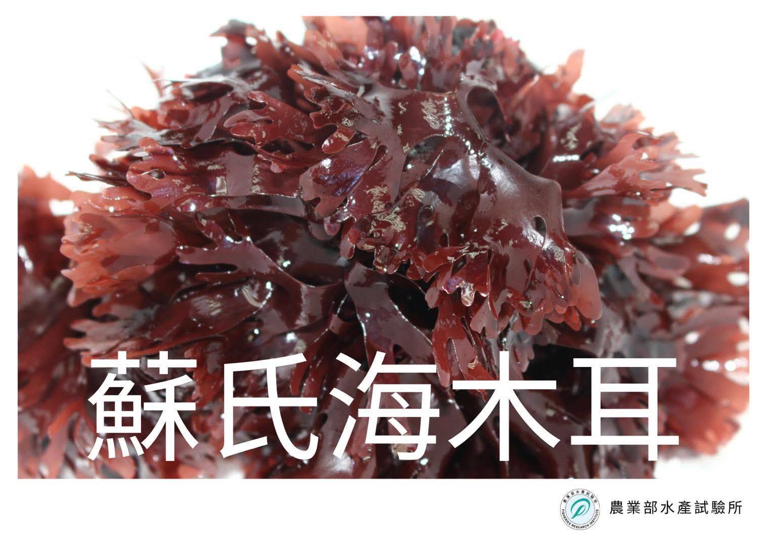 「草匯藍碳 藻護健康」論壇_ 農業部水產試驗所
