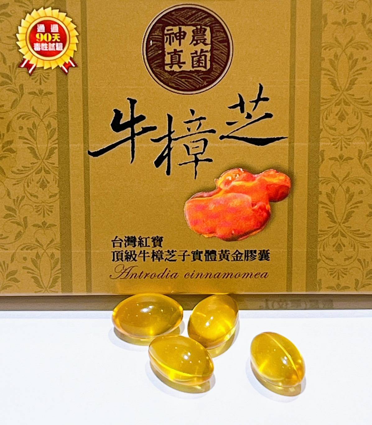 甚麼是 牛樟芝