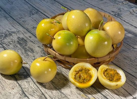  | 大農網食材直供站