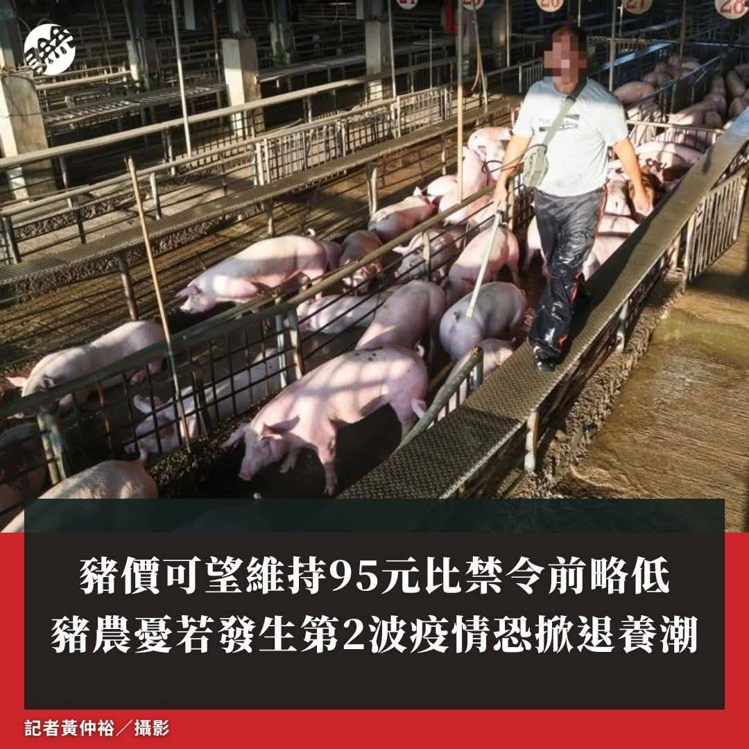 豬價可望維持95元比禁令前略低 豬農憂若發生第2波疫情恐掀退養潮_中華民國養豬協會