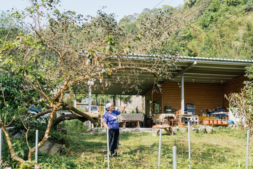 橘子產季開始了，柿藥園也開工熬橘餅了！ 12/6（六）09：20～16：20@國立清華大學旺宏館 