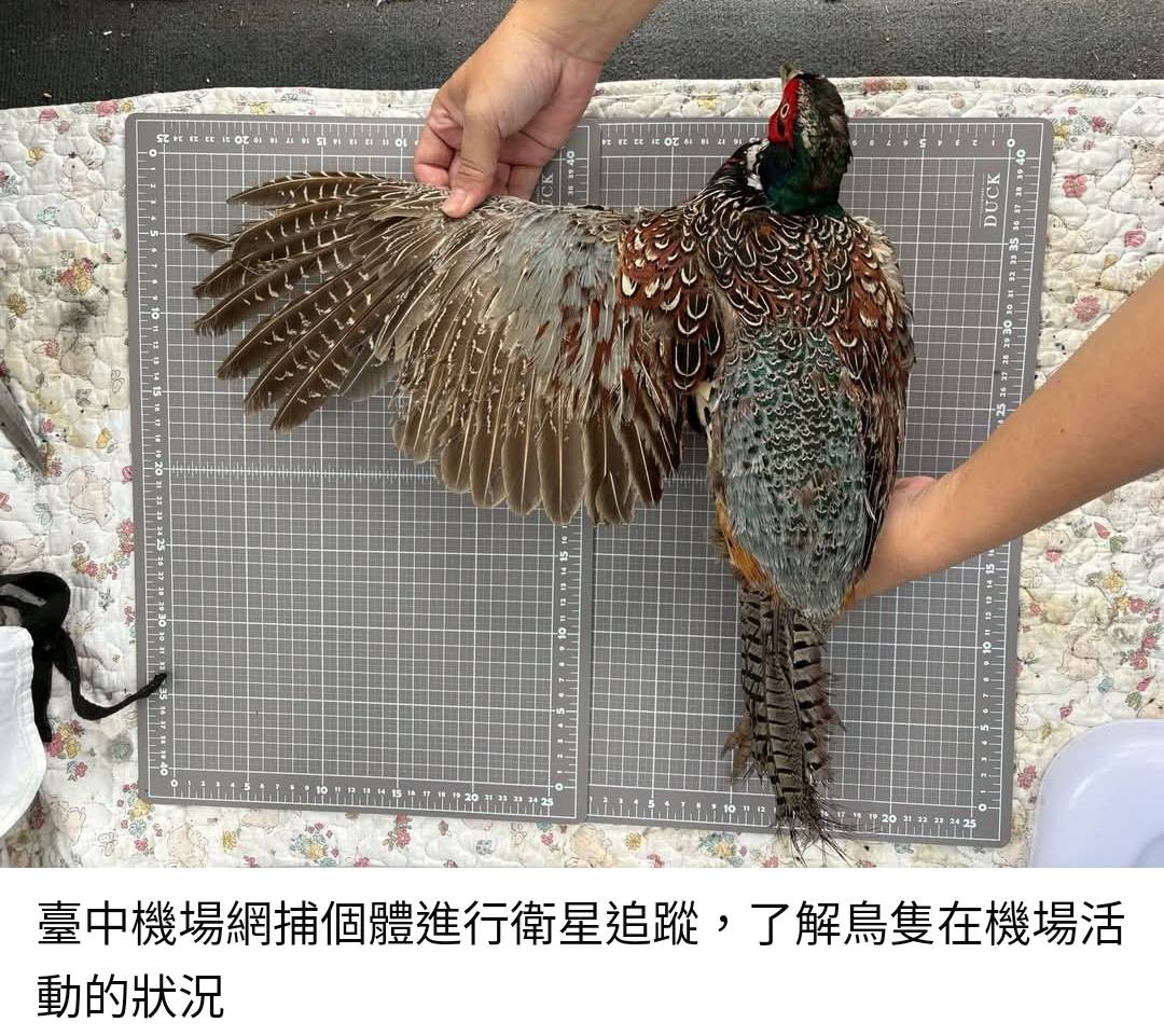 【 研究經費不夠？我們來幫你補！】 自然保育研究獎助金 開放申請啦_林務局 (2)