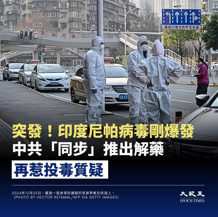 印度尼帕育苗(藥)準備好了！