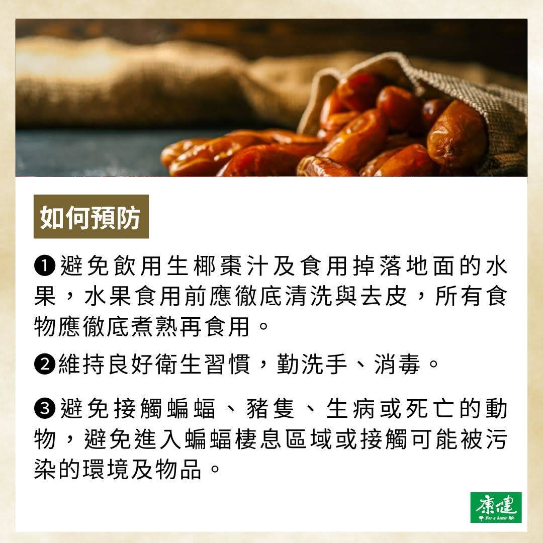 印度尼帕育苗(藥)準備好了_大紀元4