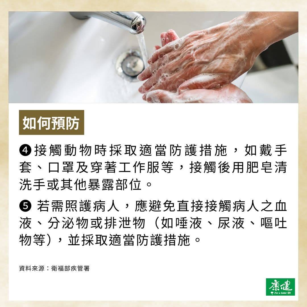 印度尼帕育苗(藥)準備好了_大紀元3