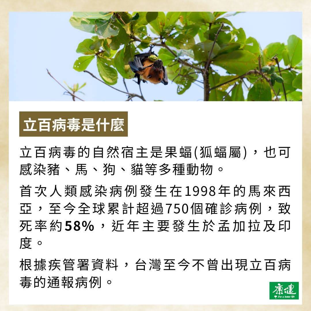 印度尼帕育苗(藥)準備好了_大紀元8