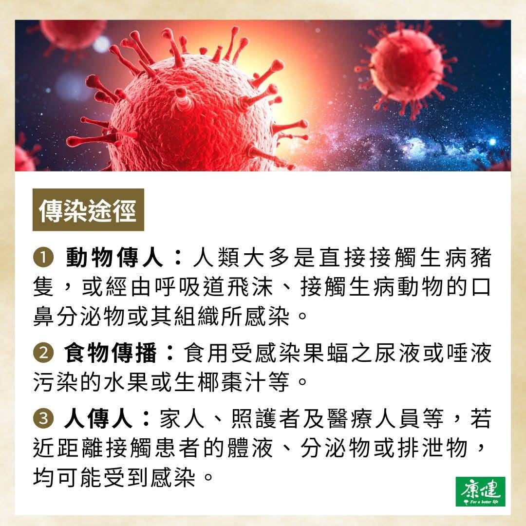 印度尼帕育苗(藥)準備好了_大紀元7