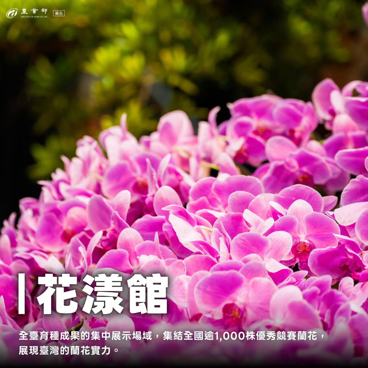 臺灣國際蘭展暨花卉科技展_農業部3