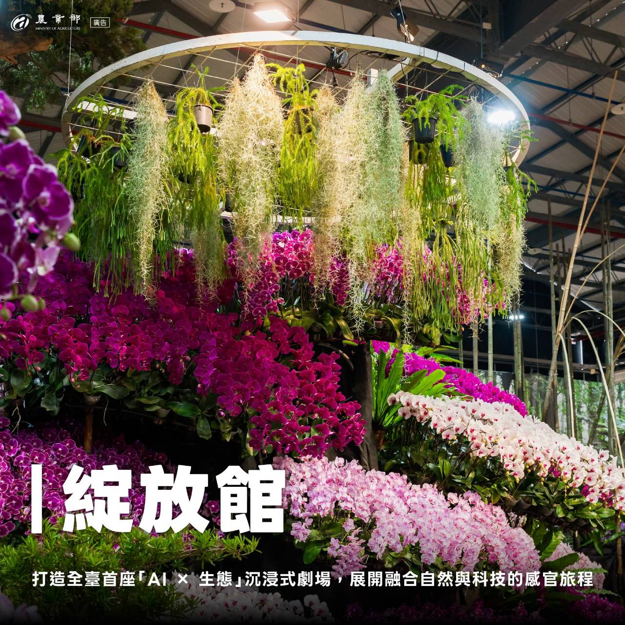 臺灣國際蘭展暨花卉科技展_農業部 (2)
