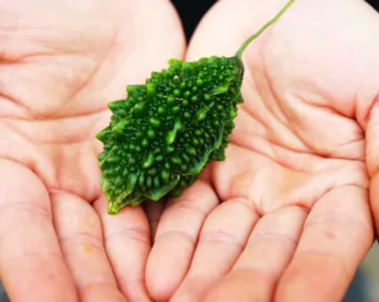 淺草堂 有機山苦瓜第一品牌 | 大農網食材直供站