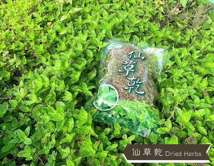 仙草乾1