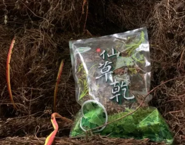 仙草乾2