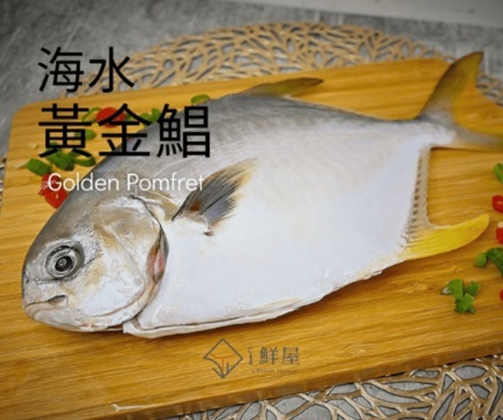 海水黃金鯧-i鮮屋-001