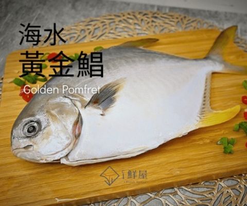 海水黃金鯧-i鮮屋-001