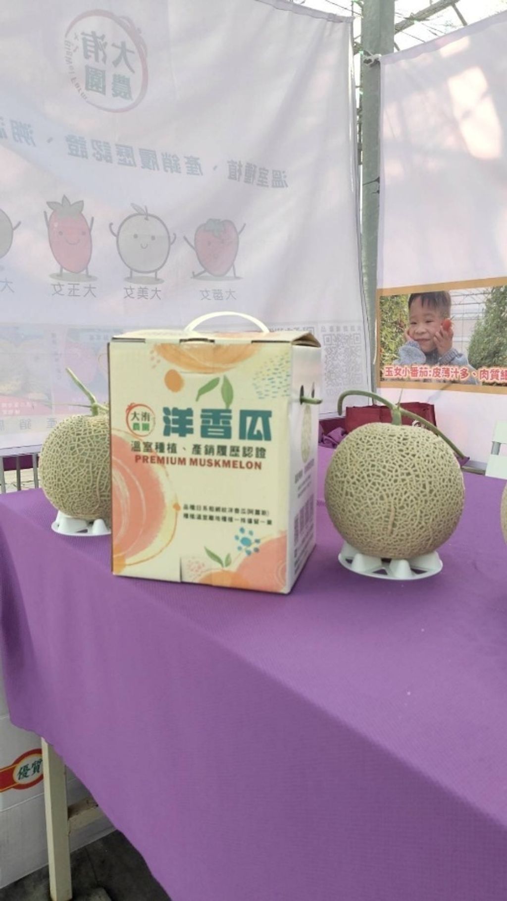 阿露斯002