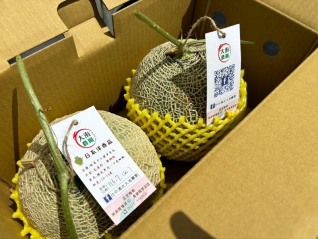 阿露斯006