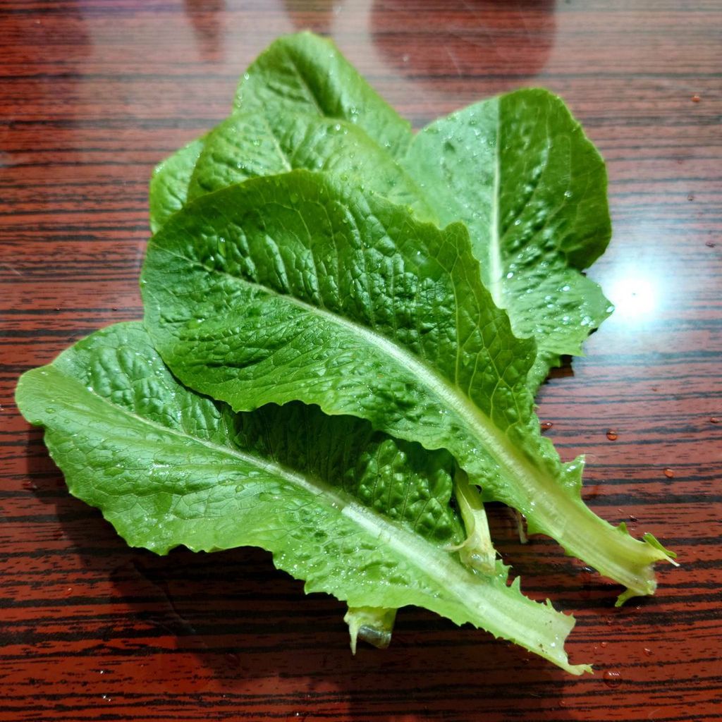 蘿蔓_昀澤農場1.jpg