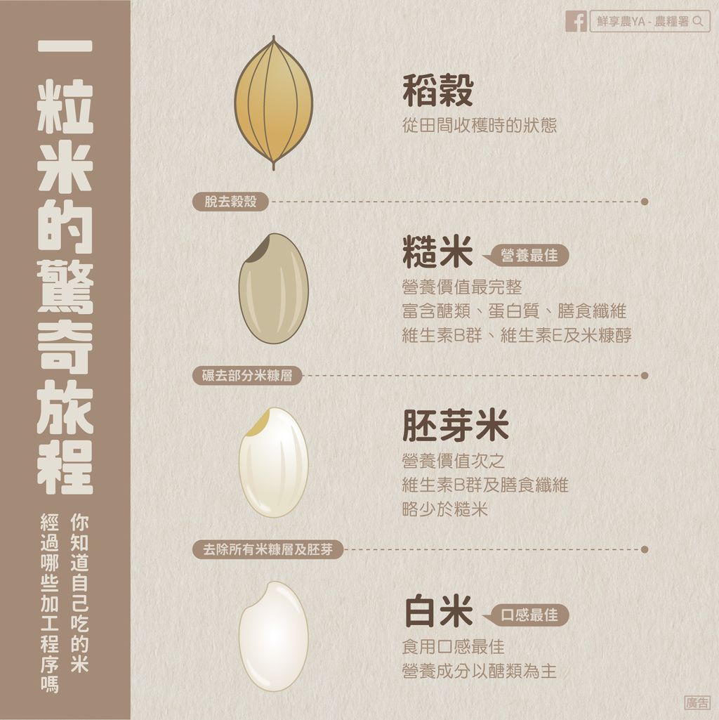 一粒米_大農網.jpg