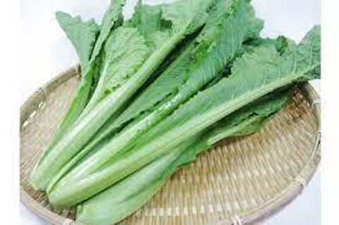 青松菜_昀澤農場2.jpg