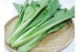 青松菜_昀澤農場2.jpg