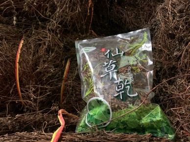 仙草乾_關西鎮農會2.jpg