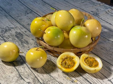 LINE_ALBUM_202393_230903_6