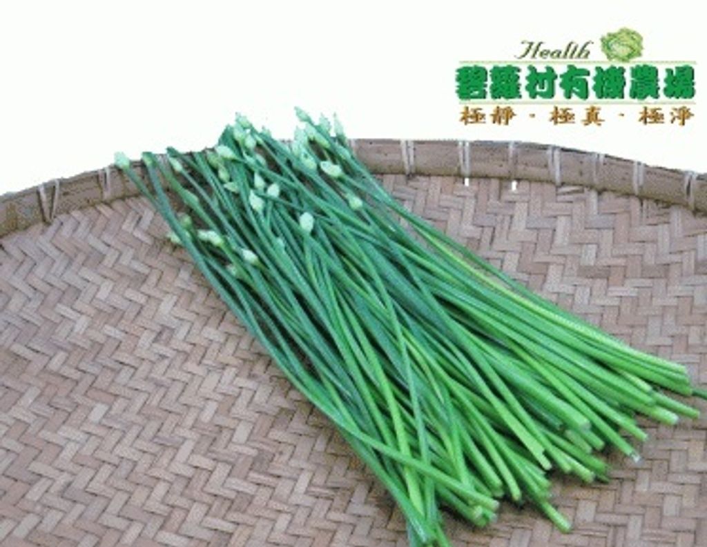 有機韭菜花-碧蘿村
