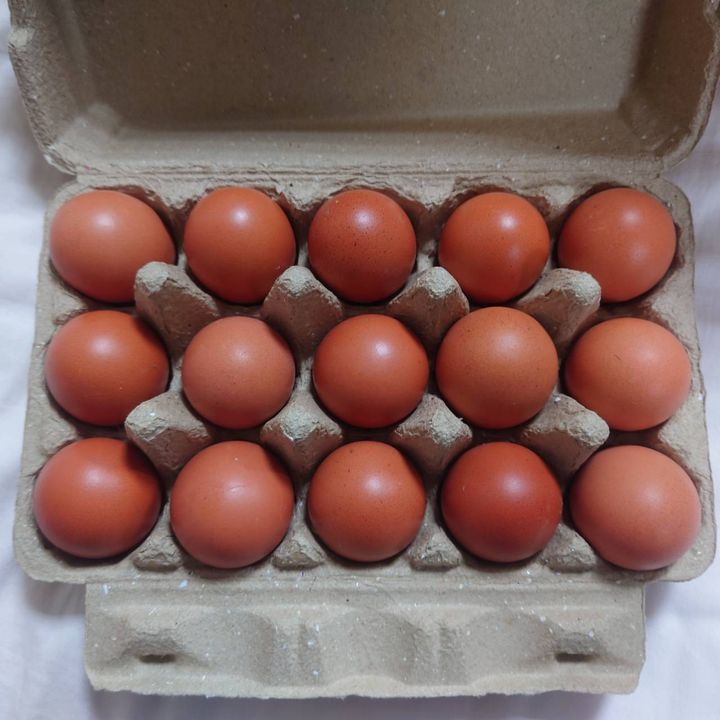 472059_0