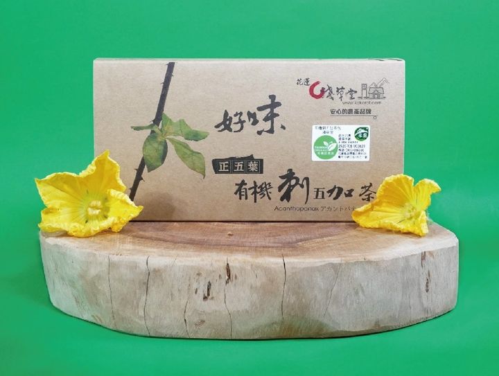 有機刺五加茶_淺草堂3