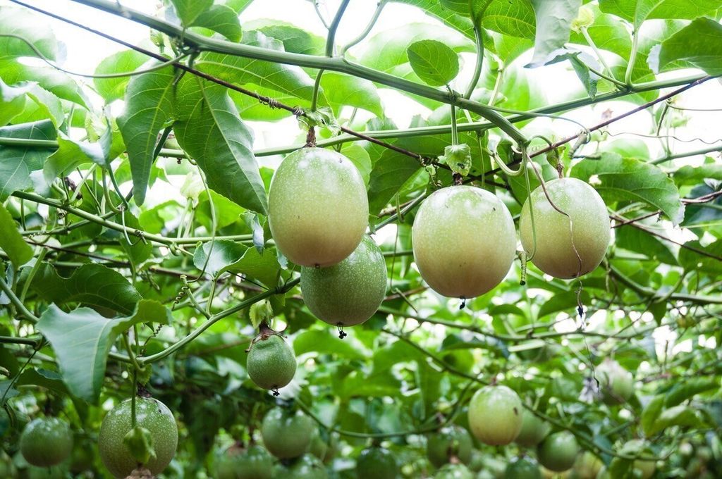 LINE_ALBUM_202393_230903_4