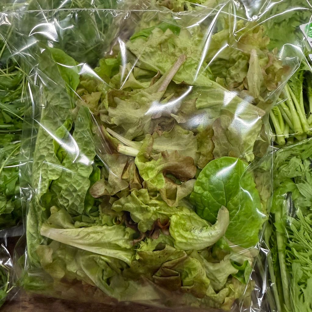 有機萵苣(綜合沙拉)_昀澤農場2