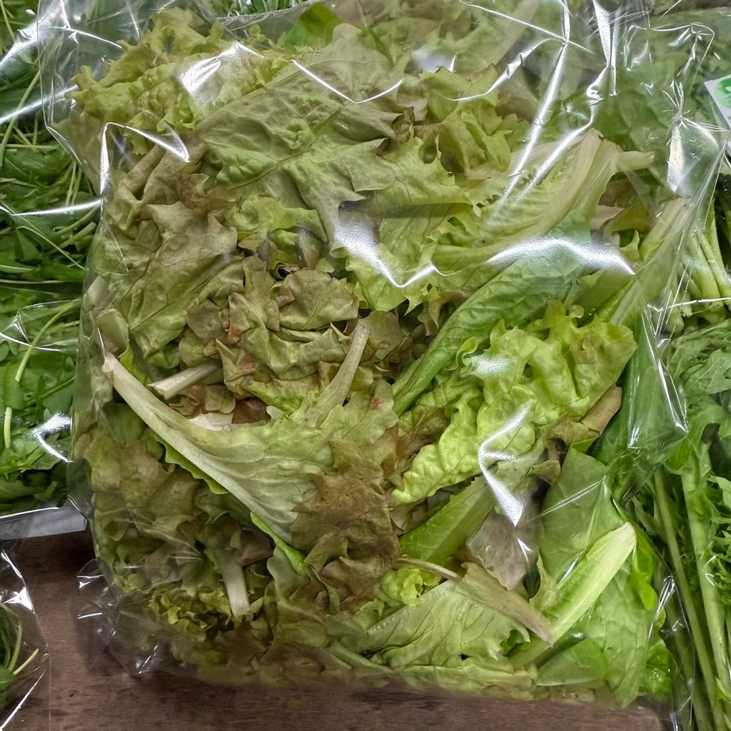 有機萵苣(綜合沙拉)_昀澤農場3