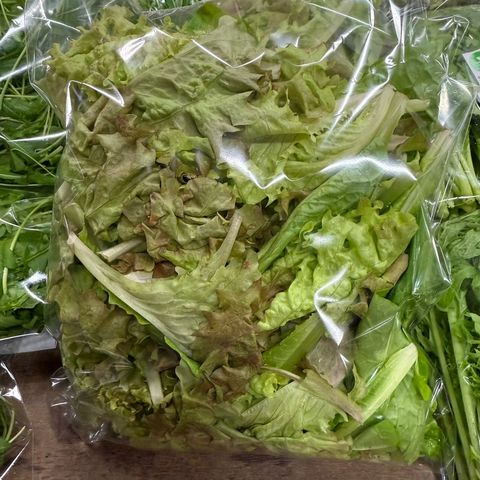 有機萵苣(綜合沙拉)_昀澤農場3