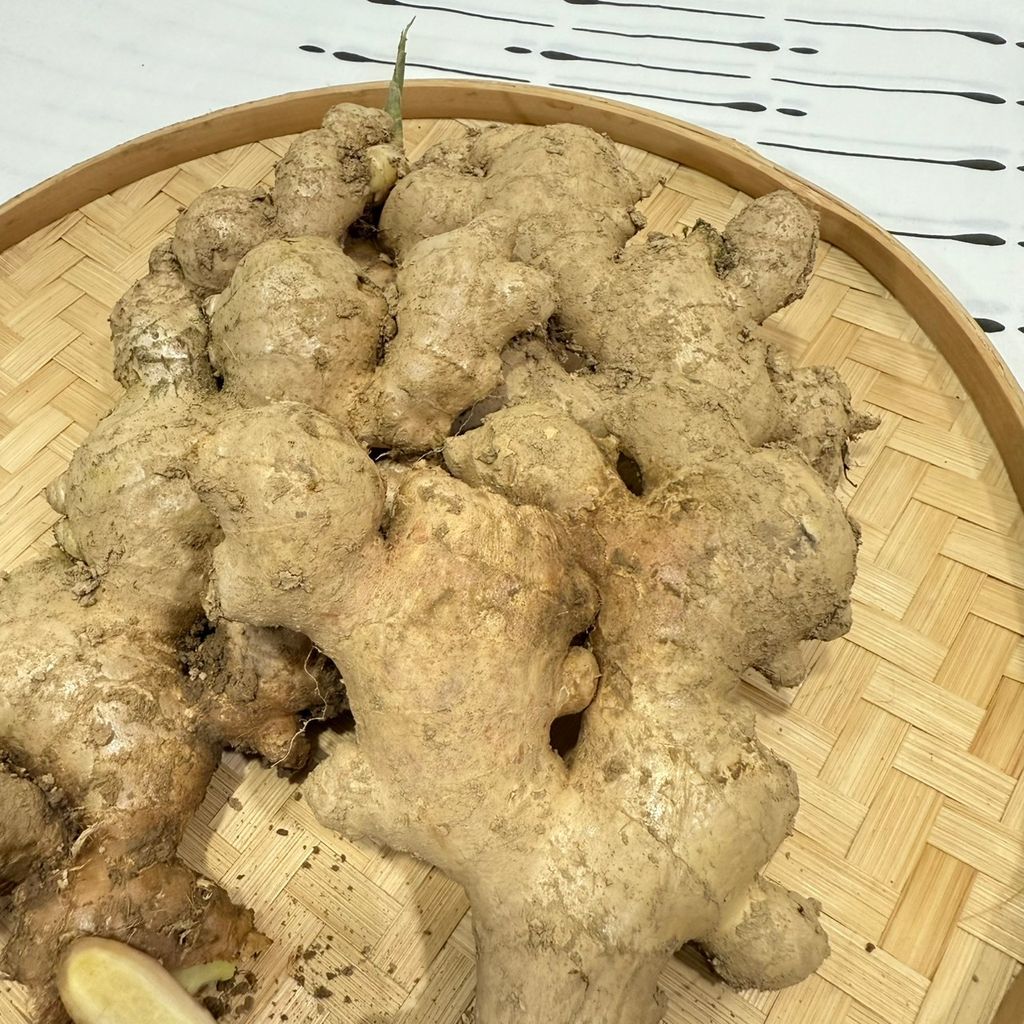 有機薑_昀澤農場2
