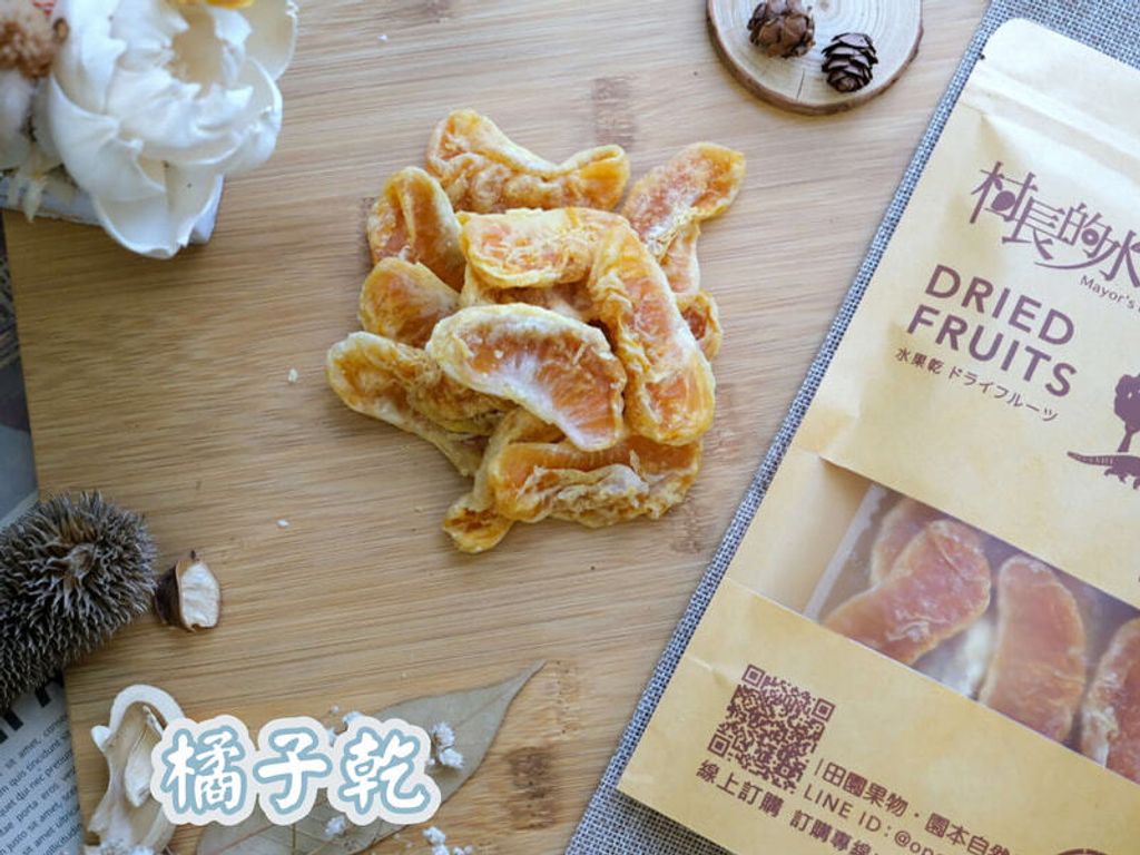 橘子乾-1_0