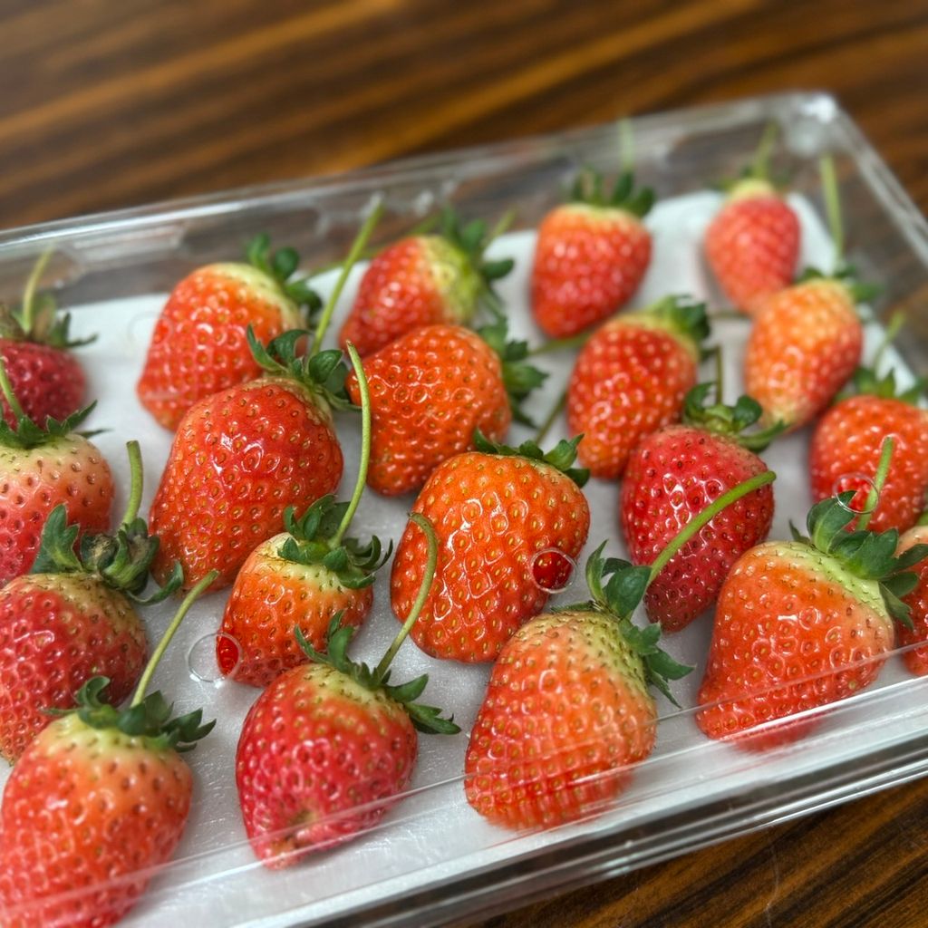 有機草莓_昀澤農場7