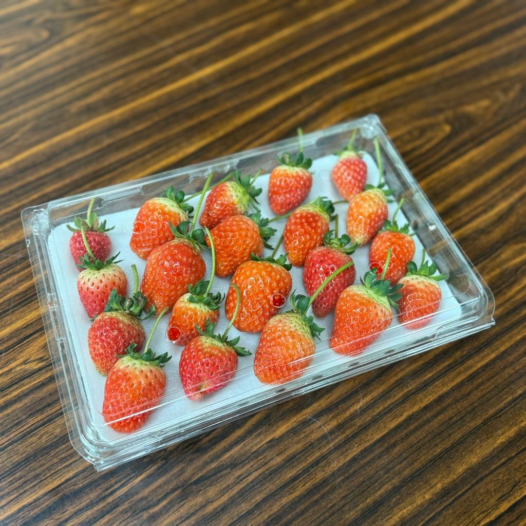 有機草莓_昀澤農場10
