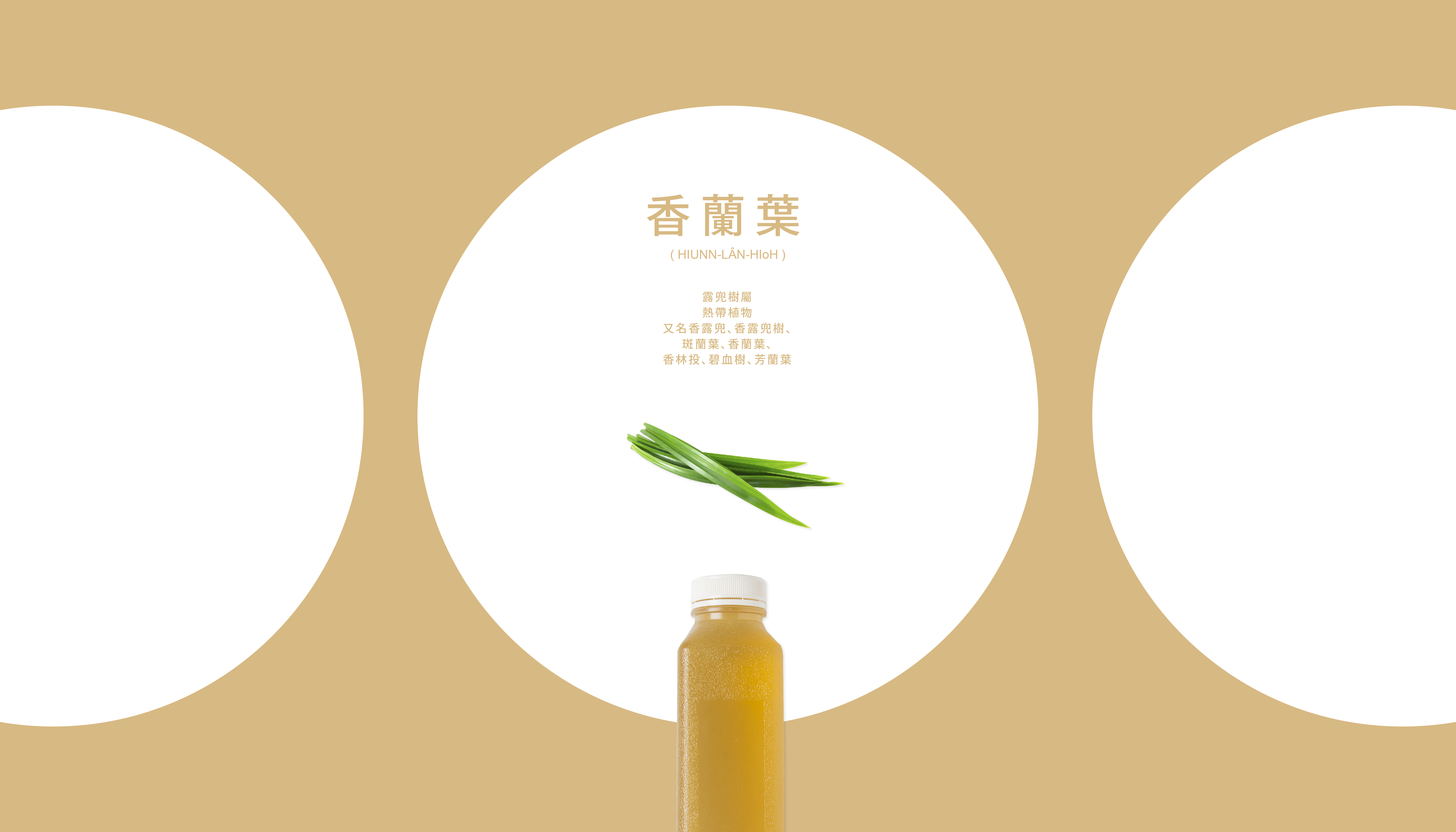 山樺食物設計 Sun Wow Food Design | 