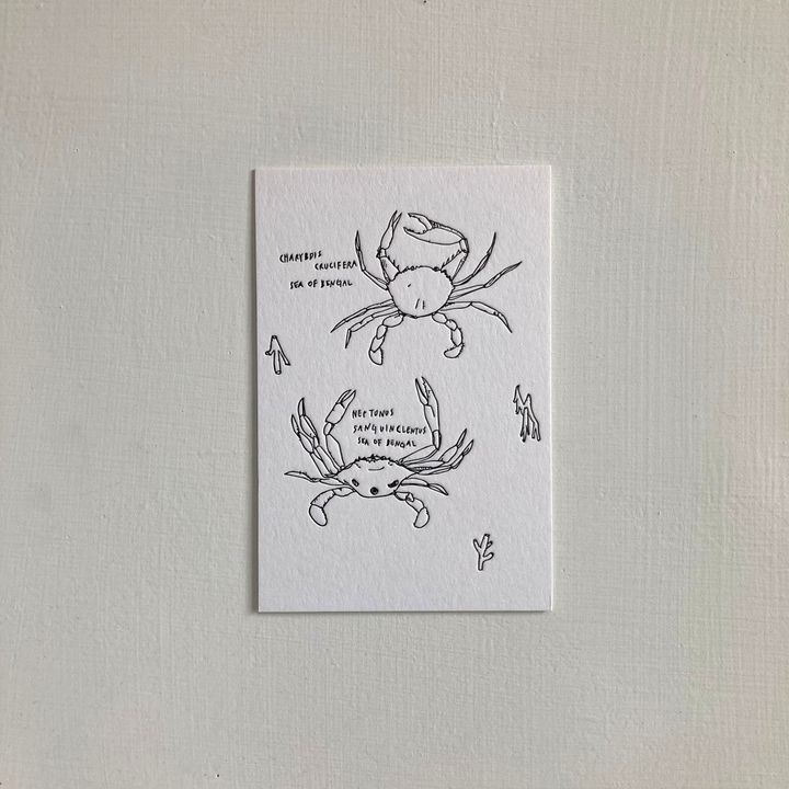 螃蟹_00.jpg