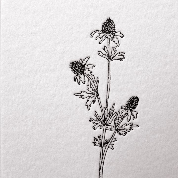 19_一枝花_02
