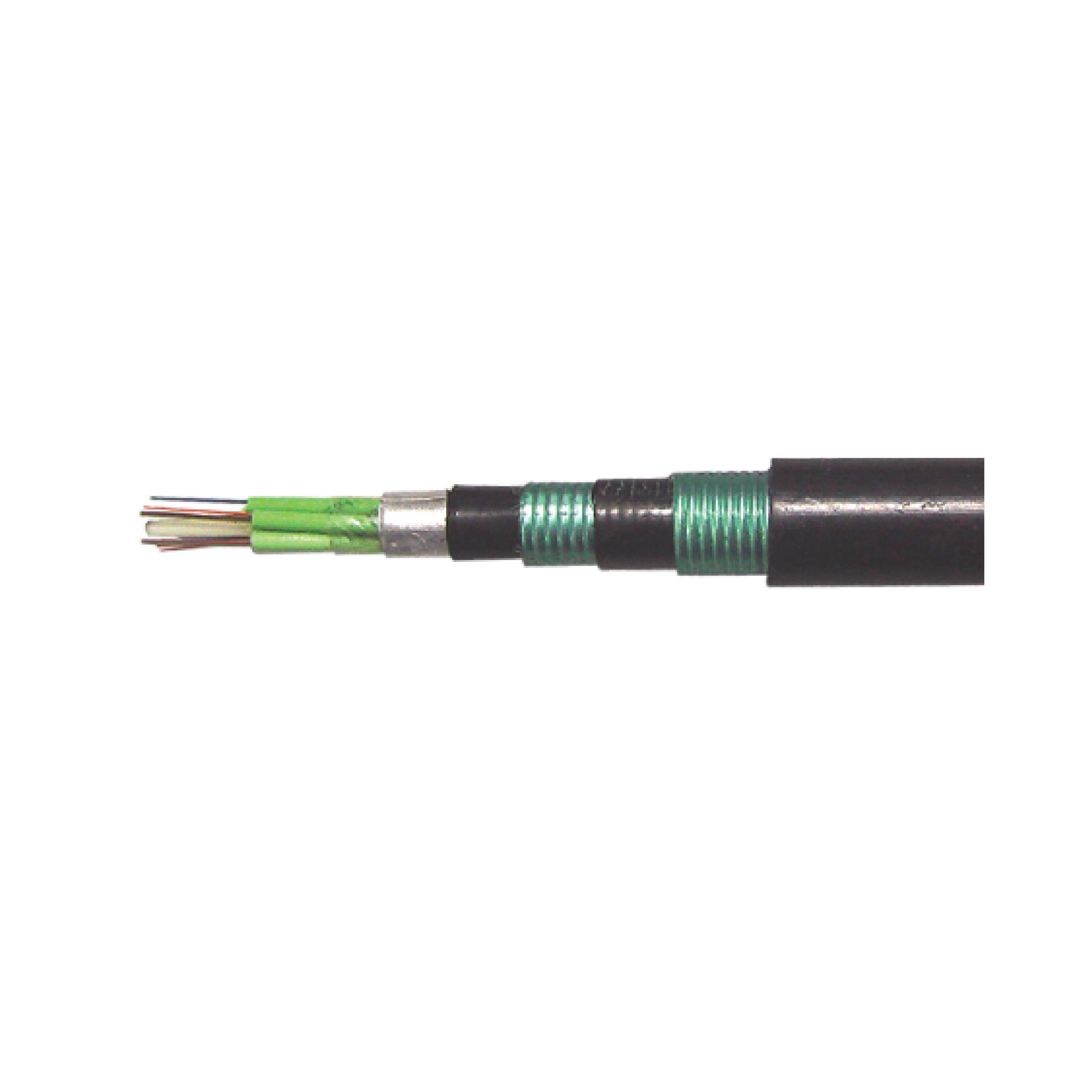 Fiber Optic Cable_Outdoor Double Armoured Stranded Tubes Cable.jpg