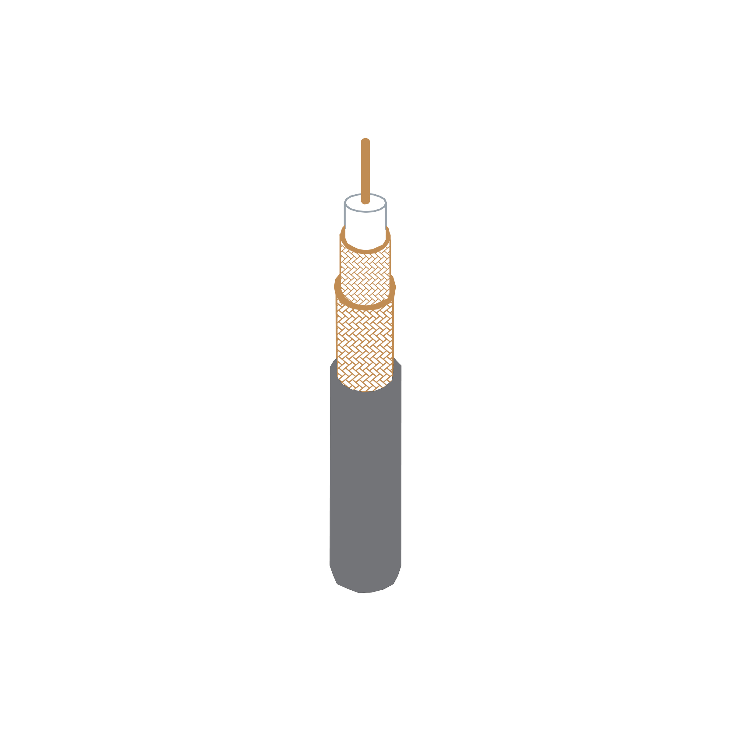 Coaxial_Cables_3C2W.jpg