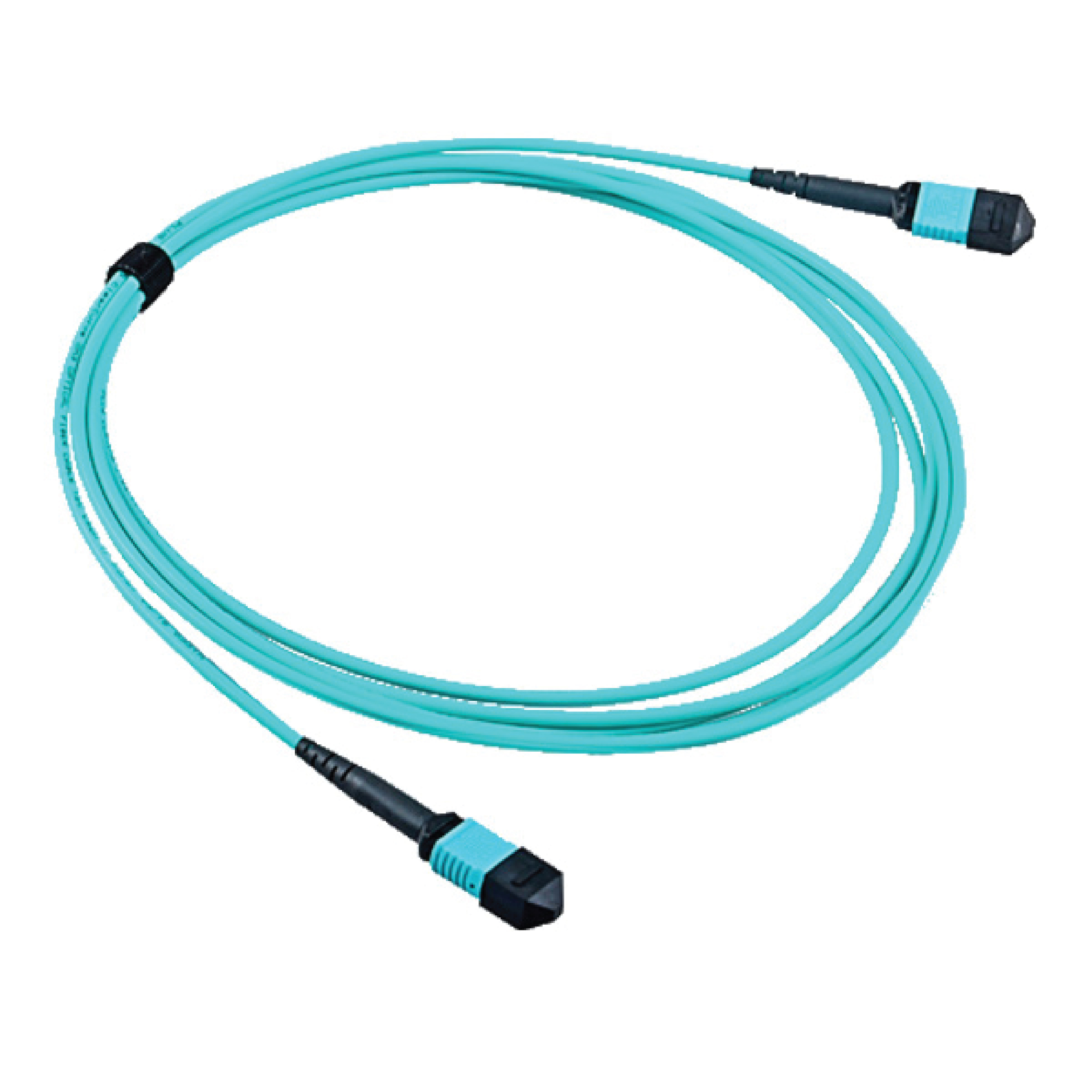 MPO Patchcord-01.jpg