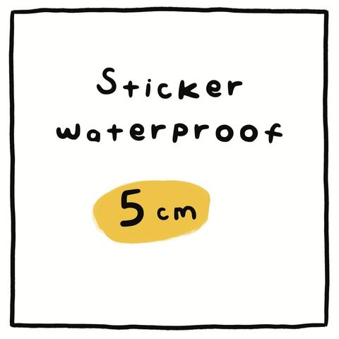 5 CM