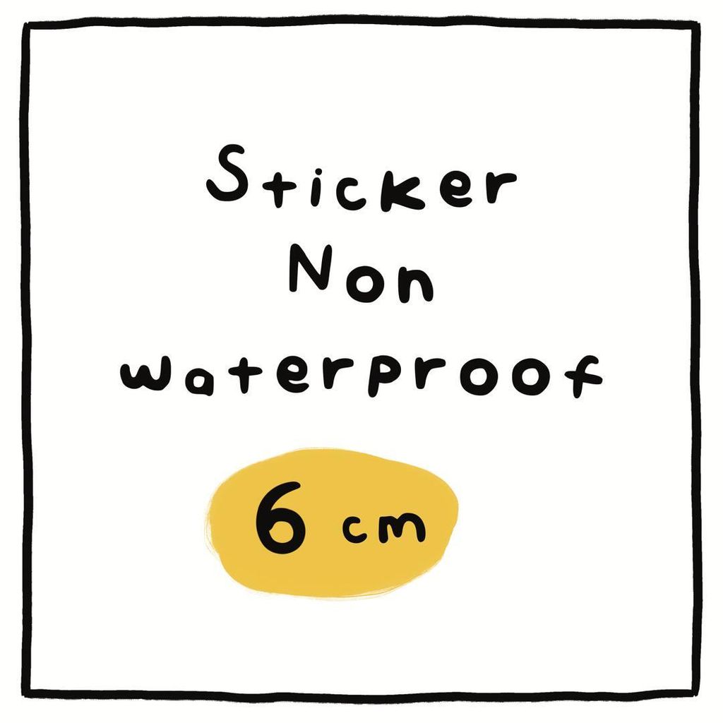 6 CM